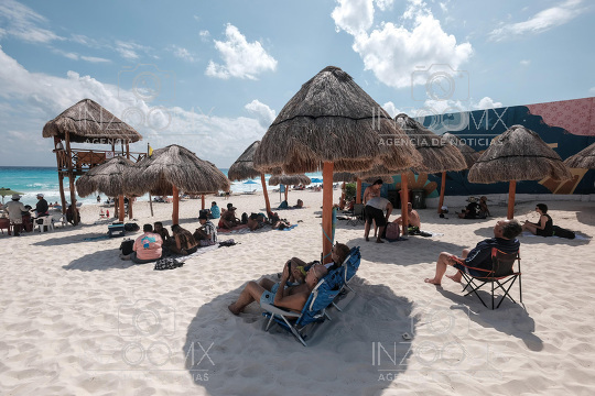 Turistas y pelicanos comparten espacios en Playa Marlin 