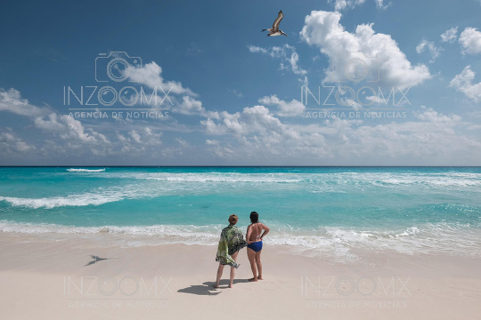 Turistas y pelicanos comparten espacios en Playa Marlin 